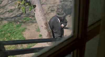 Him? - The Jerk