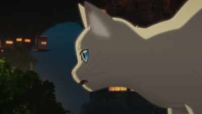 Hinode shouldn't be here!
He has to go back! - A Whisker Away