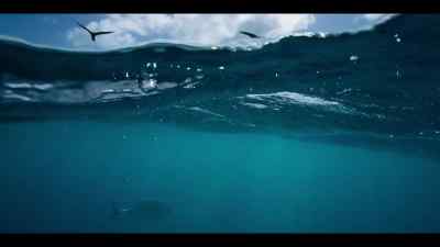 His arrival has coincided
with an important event - Our Oceans