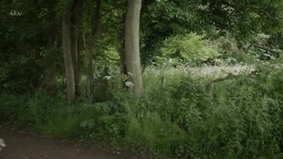 His body was found a mile from here. - Vera
