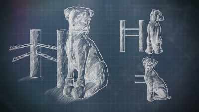 His boxer dog will be sat
in a boxing ring - Handmade: Britain's Best Woodworker