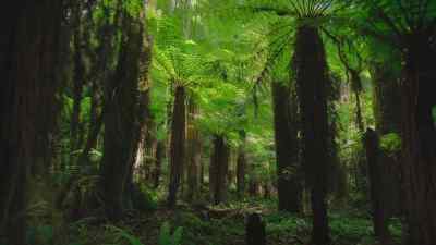 His calls are low-pitched - Prehistoric Planet