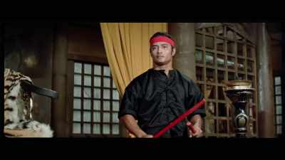'His deftness at combining different
methods greatly influenced Bruce - The Final Game of Death