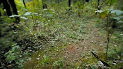 'His destination - A Year on Planet Earth