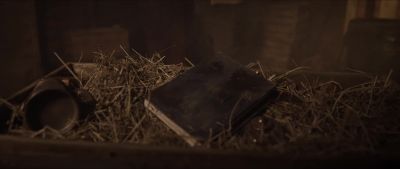 His diary lived on, its
trail of destruction resumed. - Frankenstein: Legacy
