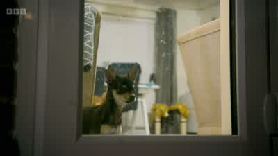 His eyesight is poor. - Wild London