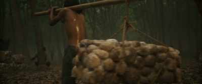 His father owned
the largest plantation in Java. - Gundala