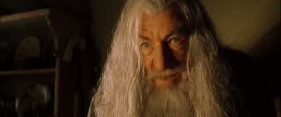 His life force is bound to the Ring, and the Ring survived. - The Lord of the Rings: The Fellowship of the Ring