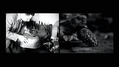His mechanical tortoise has an electronic brain which functions like the human mind. - The Minds of Men