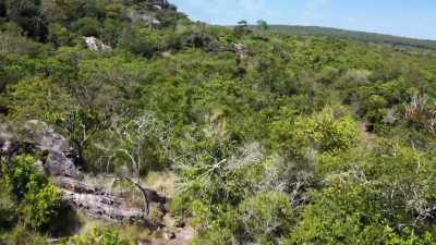 HIS MISSION STARTS BY TRACING
THE FOOTSTEPS - Lost Cities of the Amazon