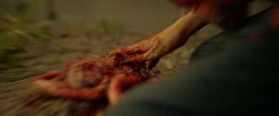 His naive mind blocked out - Winnie-the-Pooh: Blood and Honey 2