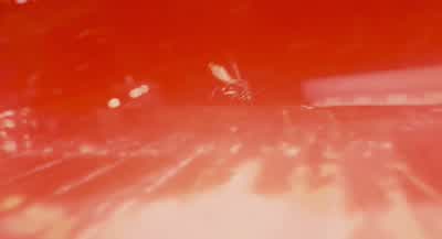 You're throwing 247 off balanceWait his name is 247He doesn't have a name he has a number ScottDo you have any idea how many ants there are - Ant Man