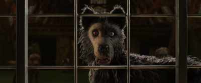His name was Fuzzball, - Isle of Dogs