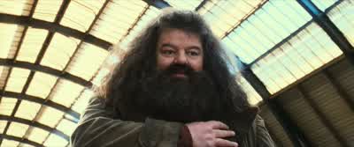 His name was V...- Maybe if you wrote it down? - Harry Potter and the Philosopher's Stone