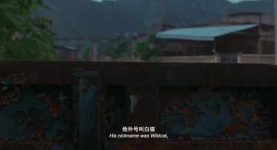 His nickname was Wildcat,
and he was always dodging gambling debts. - Long Day's Journey into Night