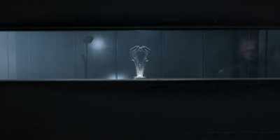 His repeated exposure to the artifacts - Halo