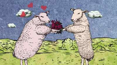 His sheep were going to mate
on his terms. - Six Degrees with Mike Rowe