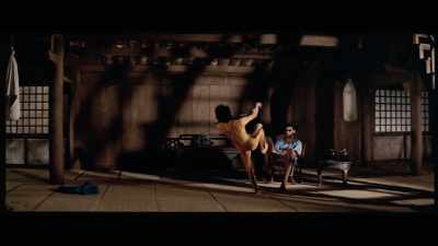 'His skill at capturing action
in striking, moody compositions, - The Final Game of Death