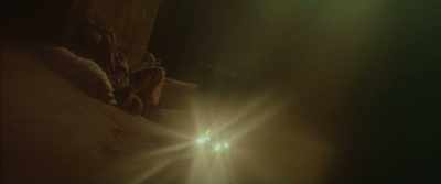 His star was waning. He spent his nights
drinking, fighting, - Caravaggio's Shadow