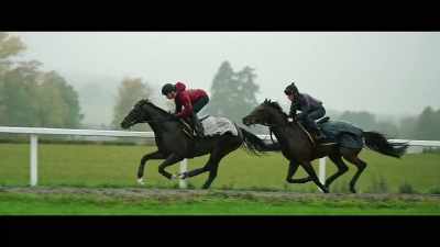 His stride length,
recovery rate, his speed. - Horsepower