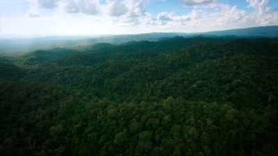 His team flies a plane
over the dense jungle canopy. - Lost Treasures of the Maya