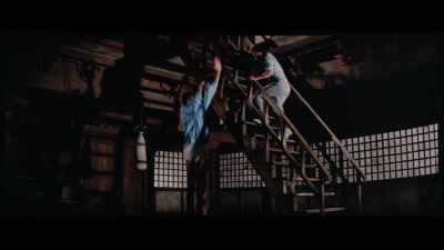 'His triumphant trademark
is creatively repurposed by Bruce - The Final Game of Death