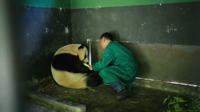 'His unconventional methods - A Year on Planet Earth