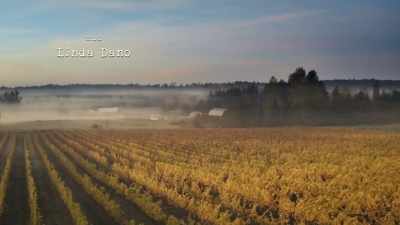  His winery, Chaberton Estates, - Chronicle Mysteries: Vines that Bind