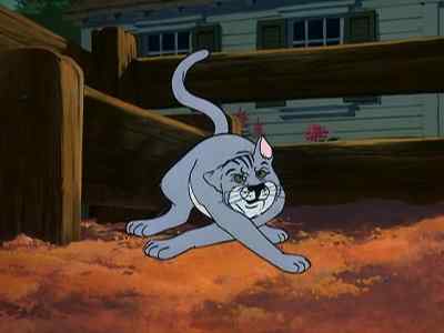 [HISS] - Charlotte's Web
