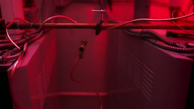 (hissing intensifies) - A Podcast to Die For