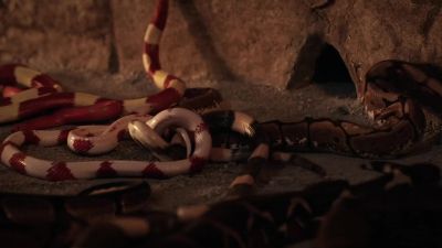 (hissing, rattling) - Sleepy Hollow