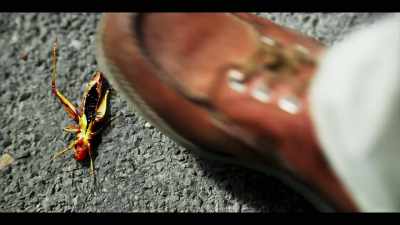 (hissing) - The Third Day