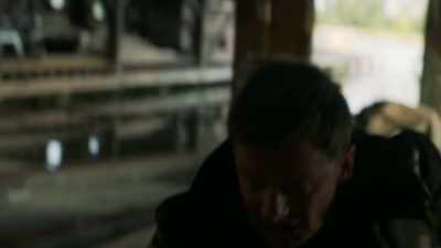 [ Hissing ] - The Crossing