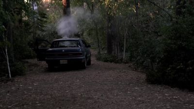 (Hissing) - The Mentalist