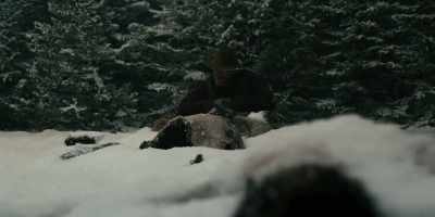 Hit my fingers, - Butcher's Crossing