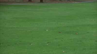 (HITTING) - Now You See Him, Now You Don't