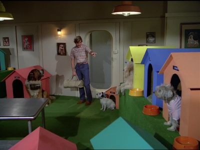 Hiya, guys. - The Love Boat