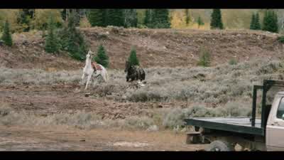 ♪ ♪ Hiyah! - Yellowstone