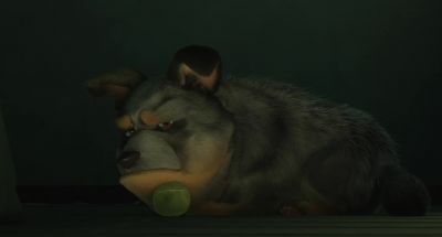 Hmm. Ball. - 100% Wolf