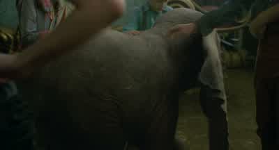 Hmm, charming. - Dumbo