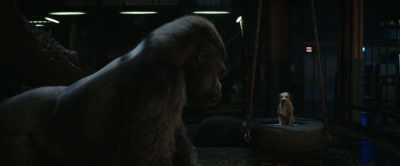 - Hmm. It's better than Bob.
- [chuckles] - The One and Only Ivan