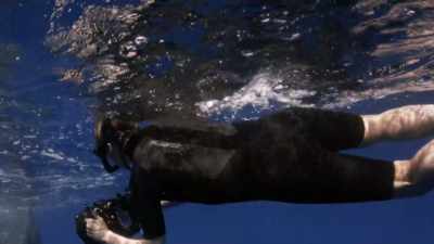 "Hmm, perhaps a game of hide-and-seek." - Secrets of the Whales