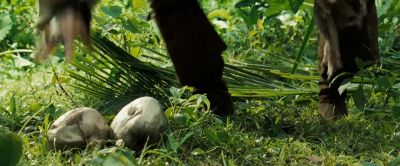 Hmm... - Pirates of the Caribbean: Dead Man's Chest