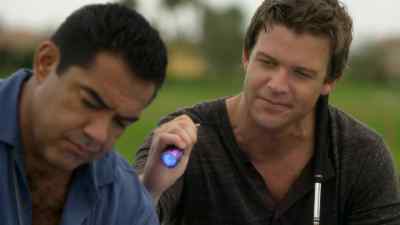 Hmm. - The Glades