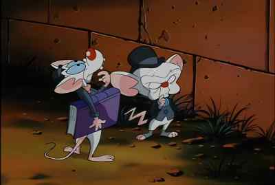 HMM. - Pinky and the Brain