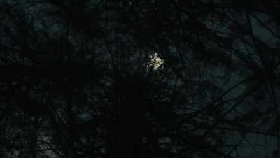 Hmm. Toxic lunar vibrations. - The Dead Don't Die