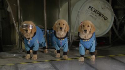 Hmm Where's the beef - Space Buddies