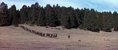 Ho! Halt! - Sitting Bull