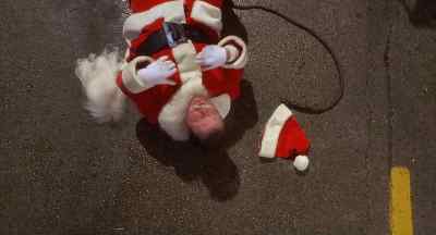 Ho, ho, ho! - Miracle on 34th Street