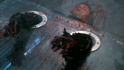 Hodgins! - Bones